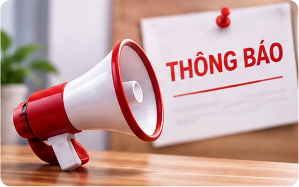 Về việc lựa chọn tổ chức hành nghề đấu giá tổ chức đấu giá khai thác tài sản công của Trung tâm Y tế Phù Mỹ